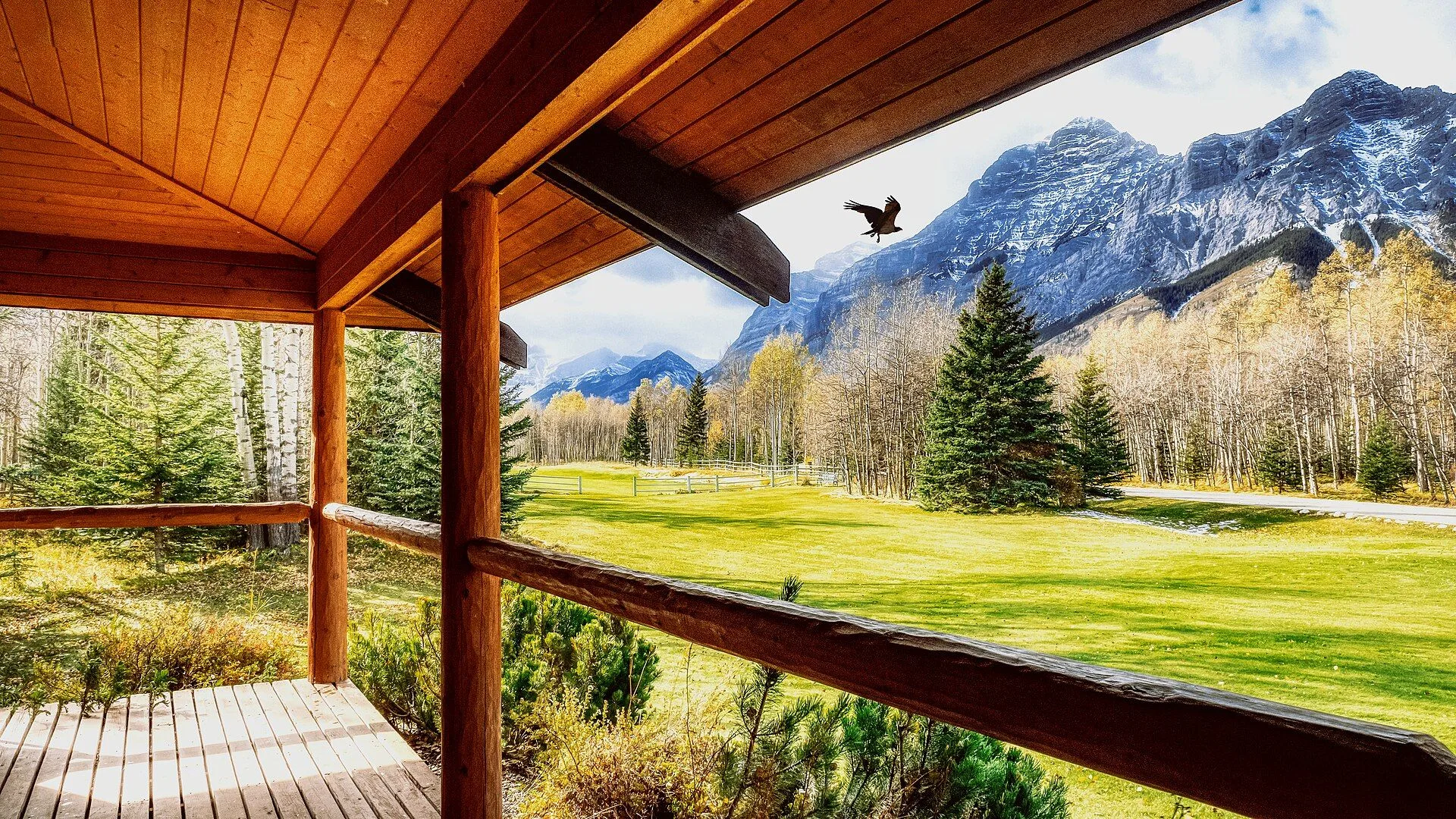 Porch Landscape - Alberta Canada