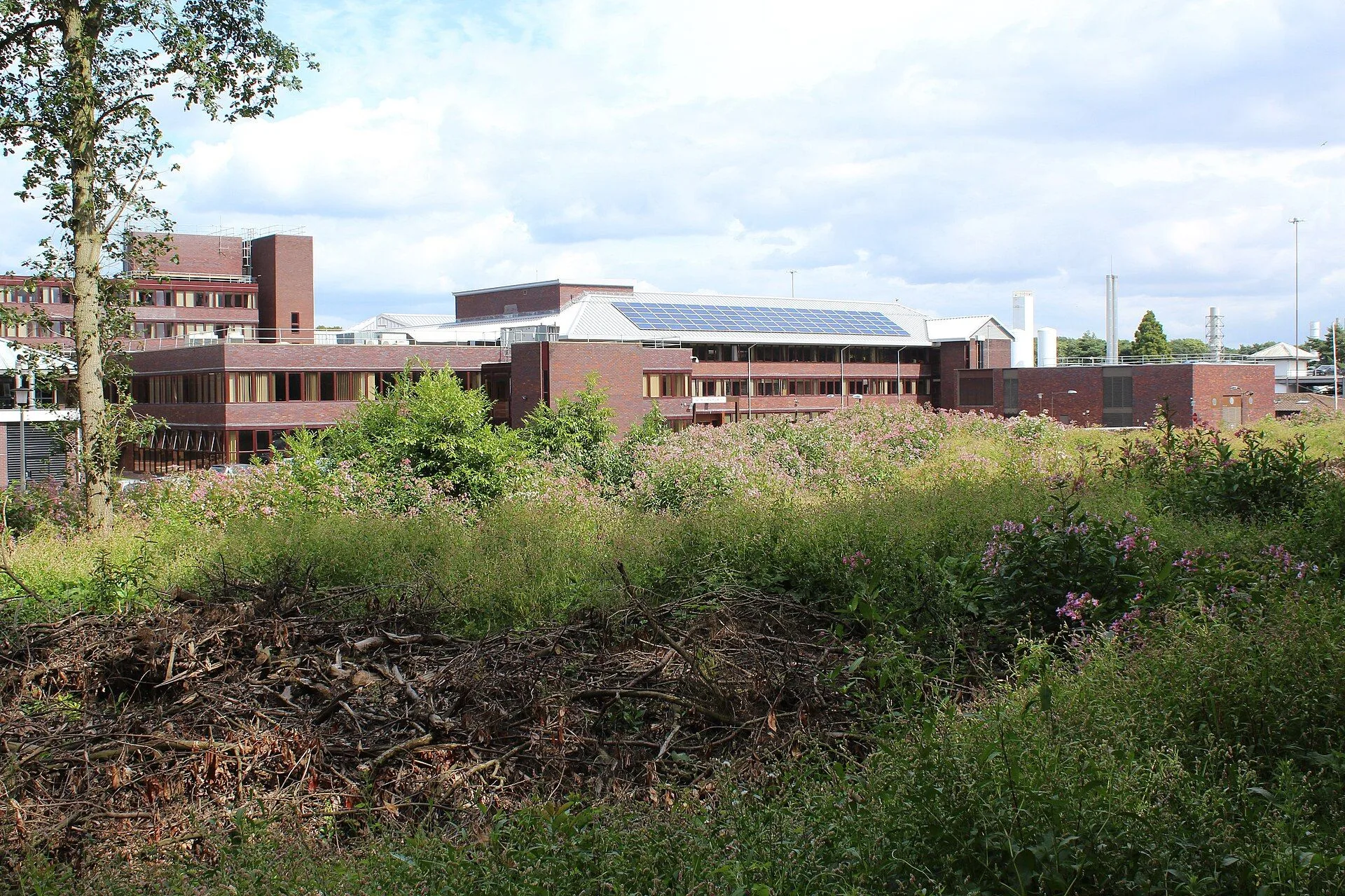 Office of National Statistics, Newport - geograph.org.uk - 5071471