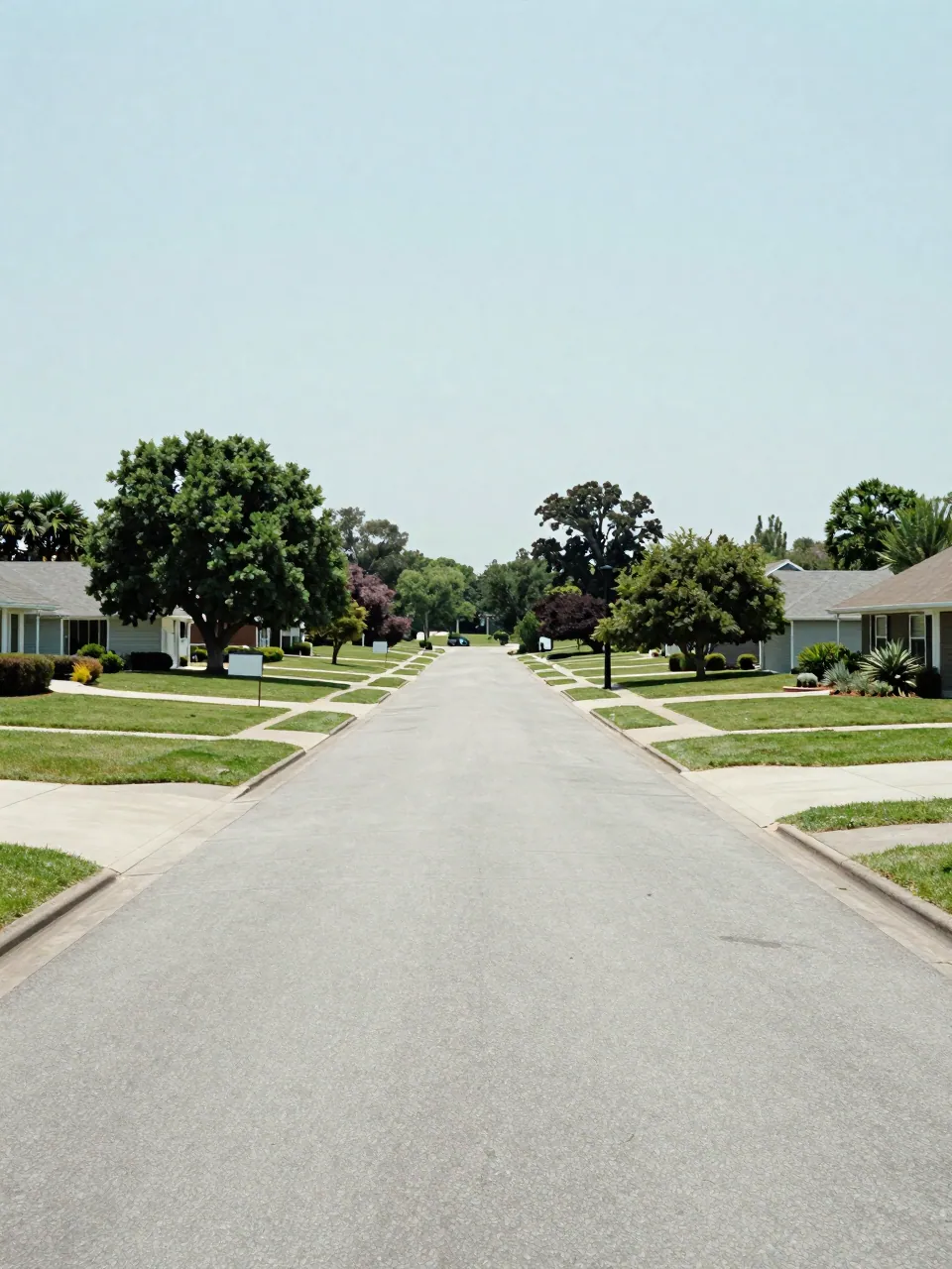 Spacious suburban street with spaced houses, empty driveways and blank for-sale posts in daylight.