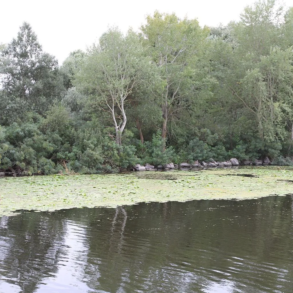 Провулок Пристанський, Oleshky, Khersons'ka oblast, Ukraine, 75100 - panoramio