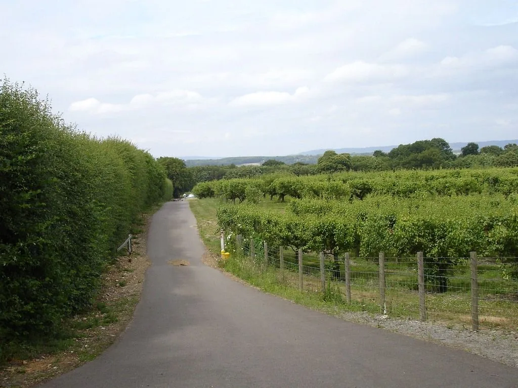 Beech Farm, West Farleigh - geograph.org.uk - 199519