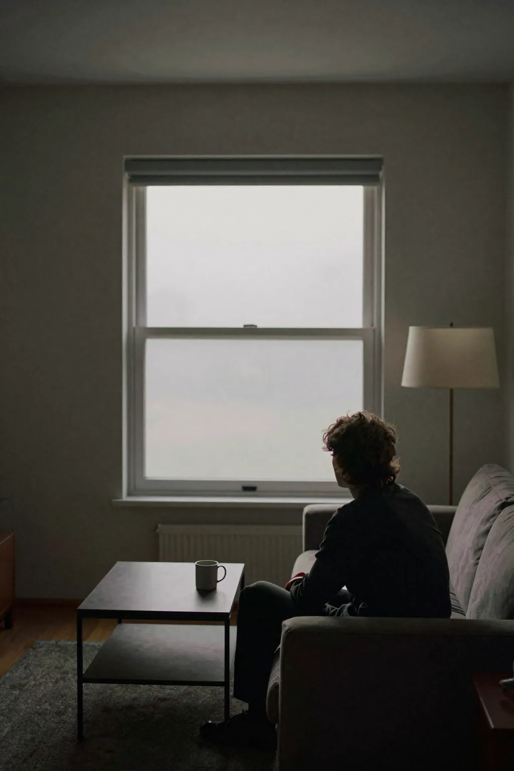 A person sits alone on a sofa facing a closed window, a pale grey haze blurring the view outside.