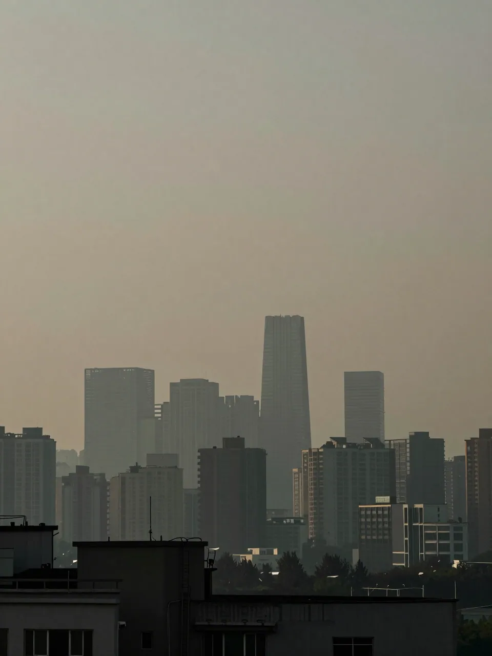 A distant city skyline fades into heavy grey-brown haze, with buildings reduced to faint layered silhouettes.