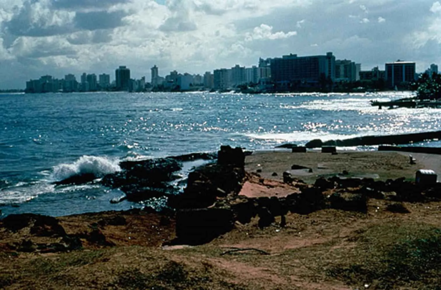 Oiled shoreline in urban area