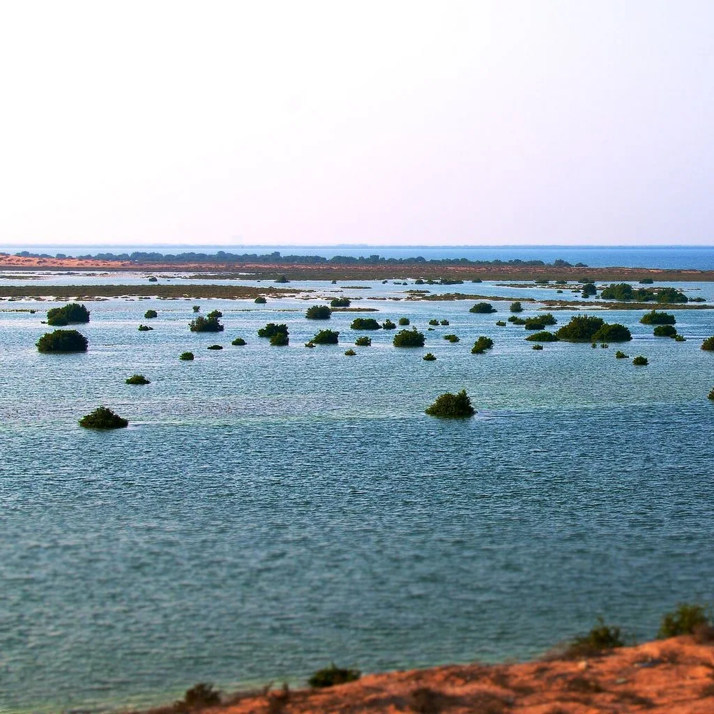 Sea of Umm al-Quwain 20111001