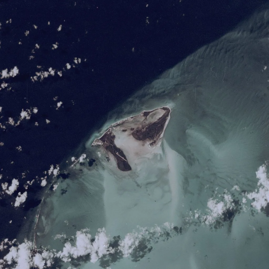 Bimini 7S41000501056