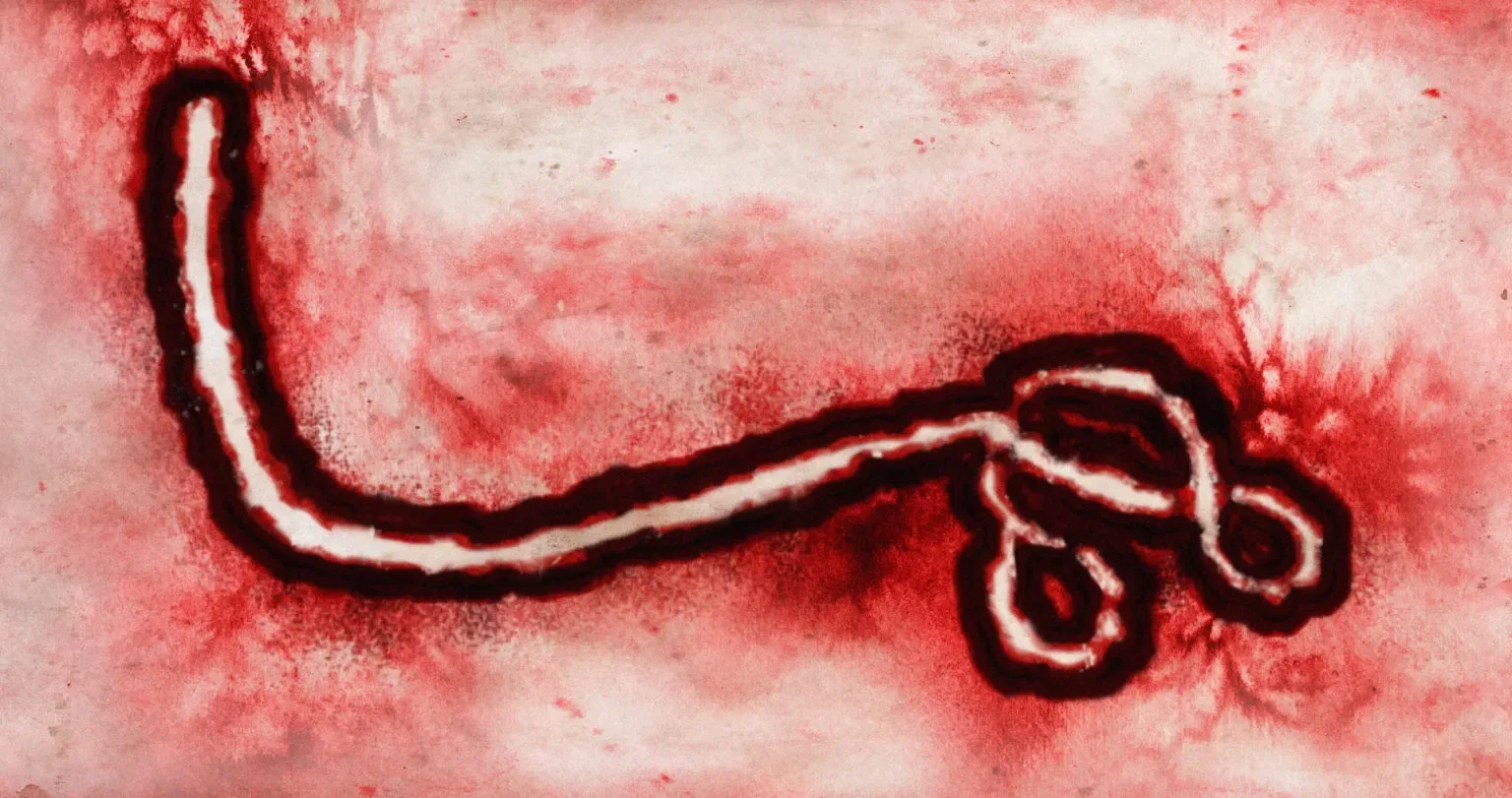The zoomed out ebolavirus of the DRC 2026 OUTBREAK