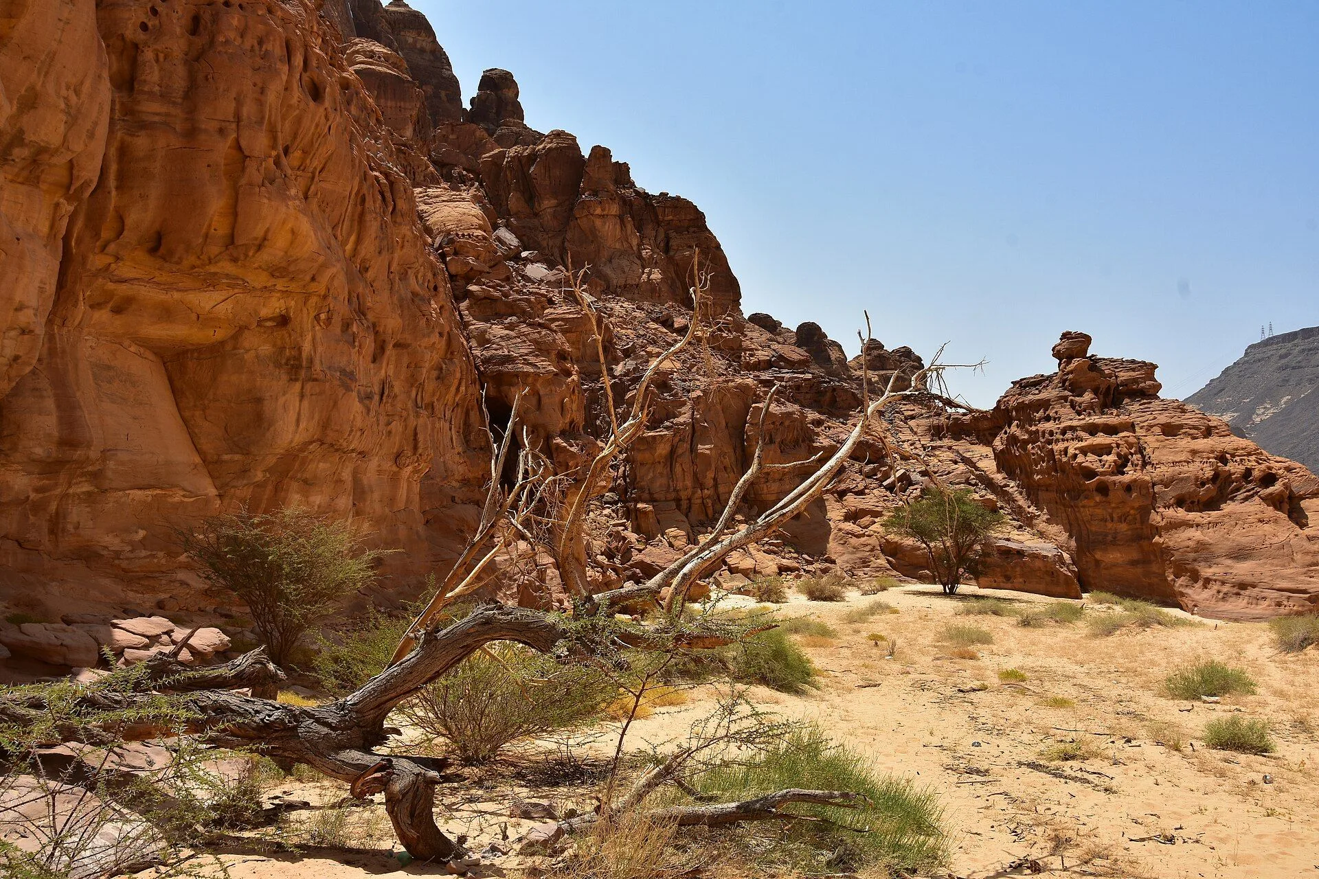 Landscape at al-Ula, Saudi Arabia (1)
