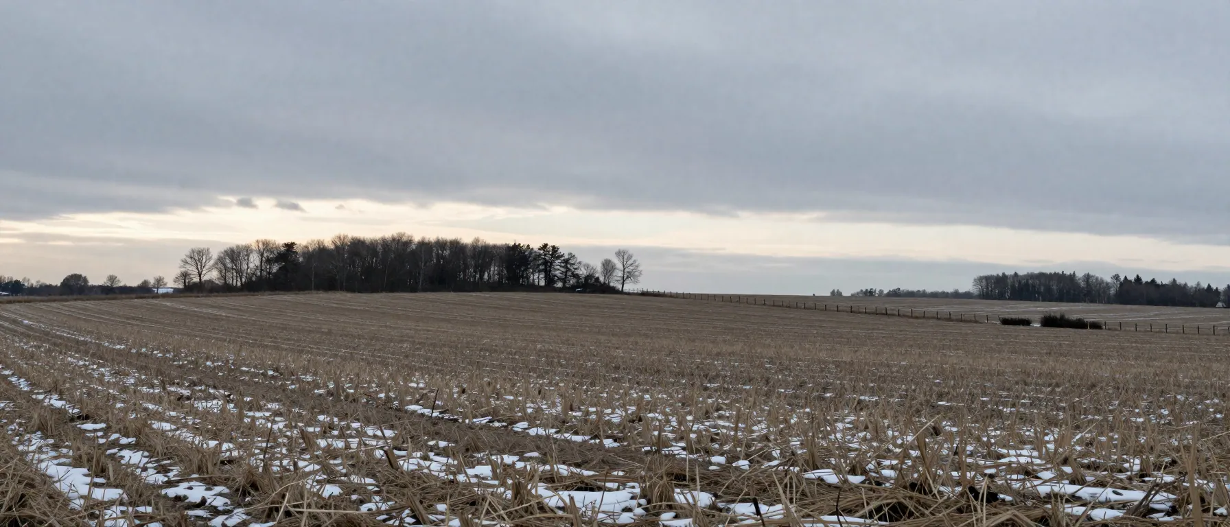 Wide winter farmland with bare trees, patchy snow and a layered overcast sky.