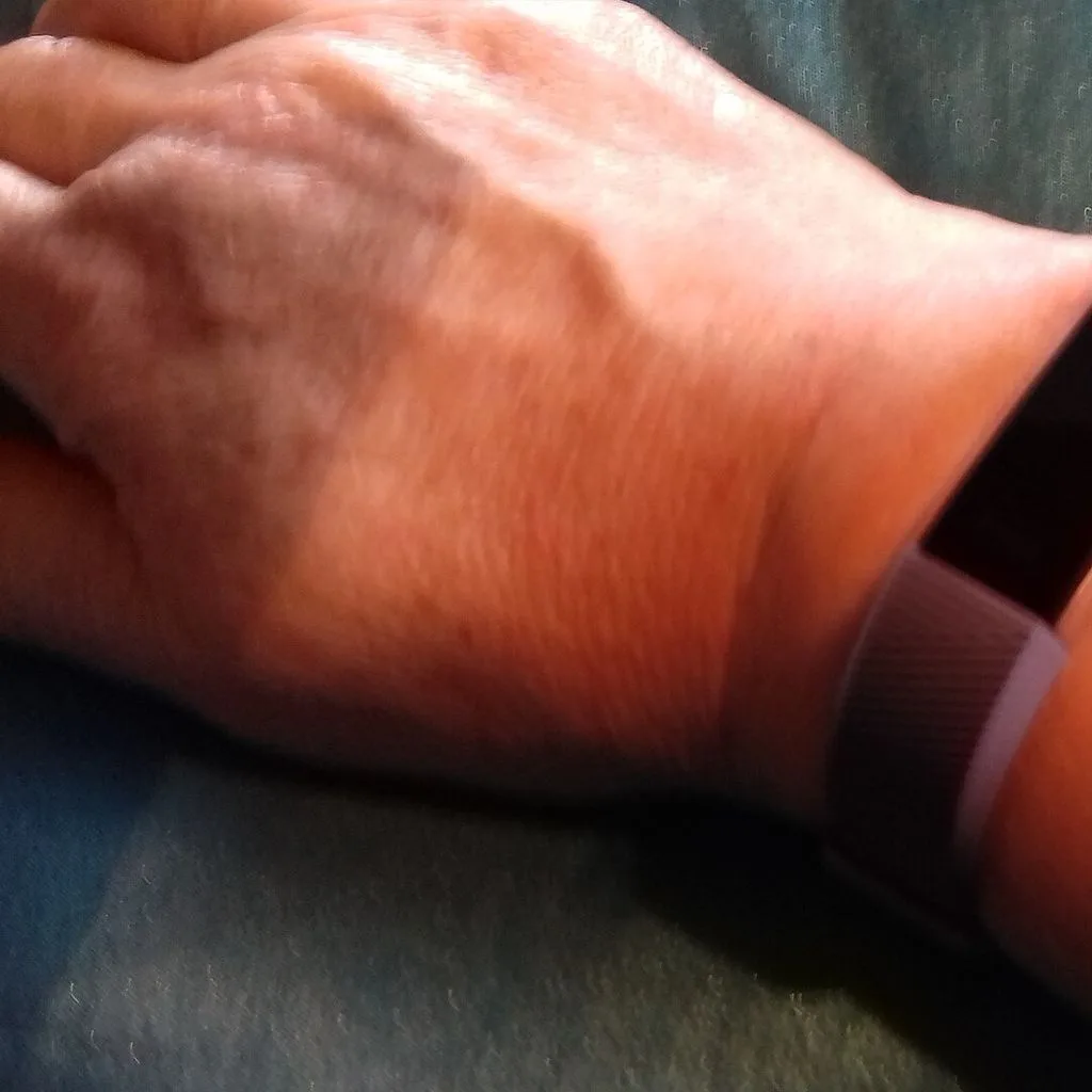 Fitbit Alta HR landscape