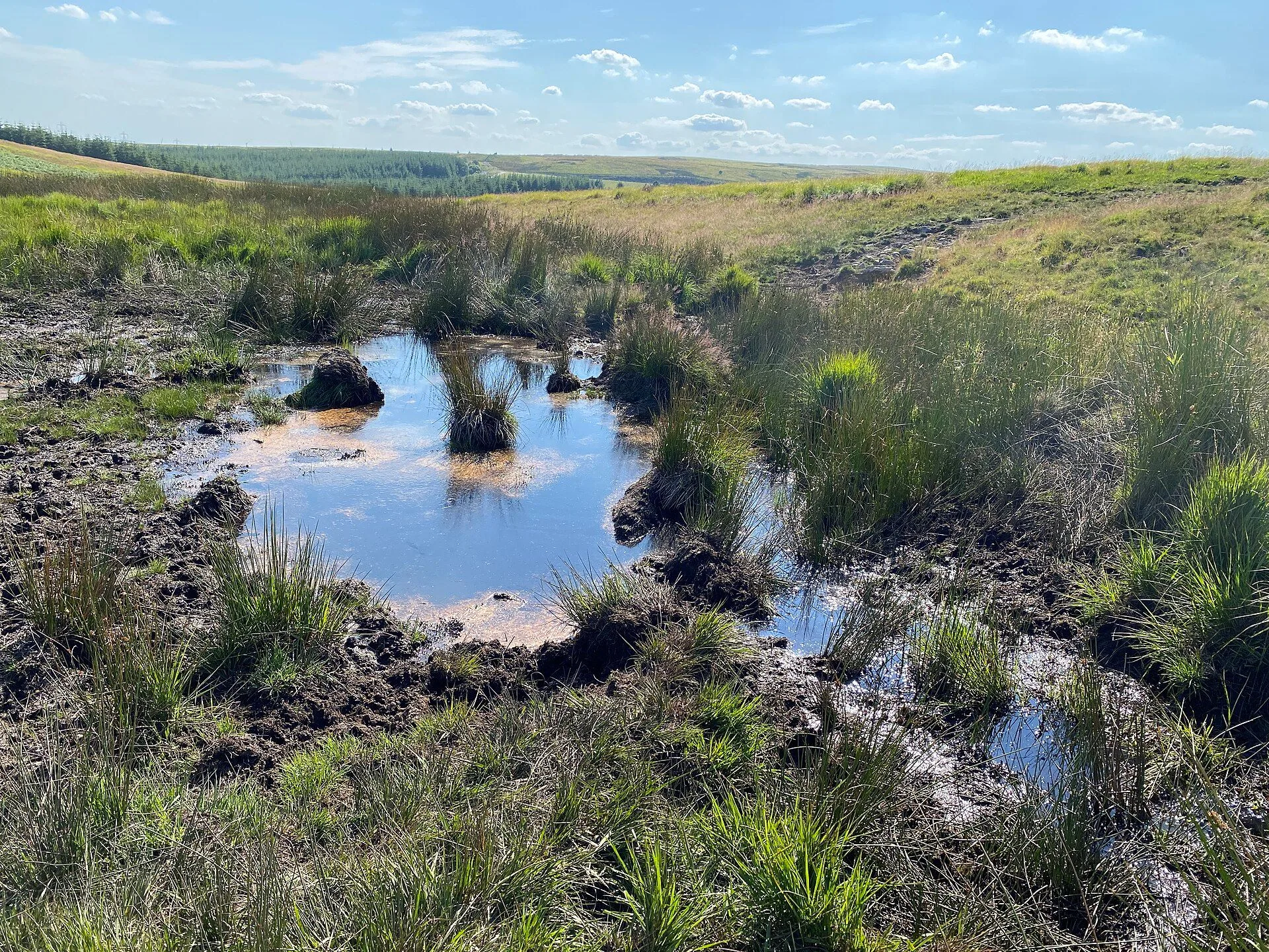 Peatland bog - geograph.org.uk - 7835734
