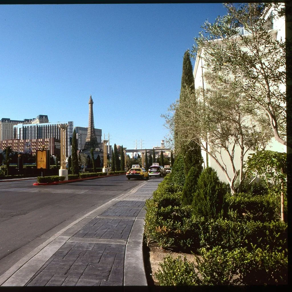 Las Vegas. Flamingo Hotel e Paris Hotel sulla Las Vegas Strip